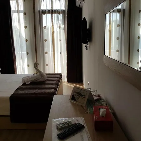 Solea 3*